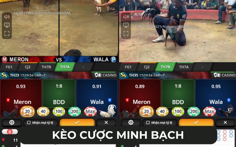 Kèo cược minh bạch trả thưởng nhanh chóng Kèo cược minh bạch trả thưởng nhanh chóng